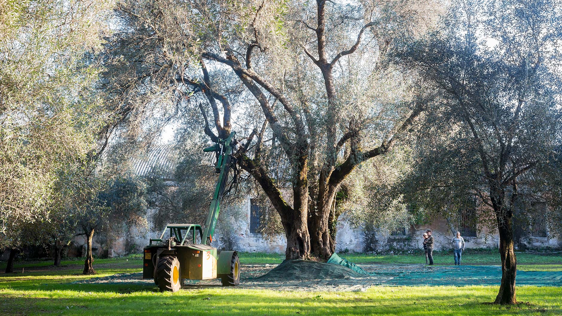 Vita di Campagna